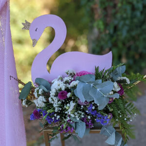 Swan