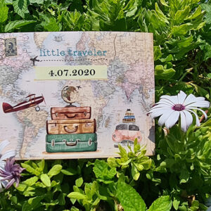 Little Traveler