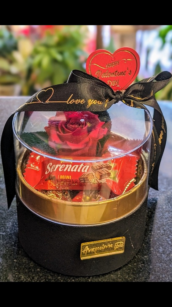 PXL_20240204_124517215.PORTRAIT~2